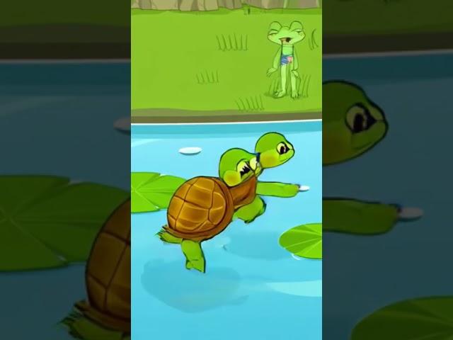 Angry Turtle  #lifeisbutadream #viralvideo #love #shortsfeed