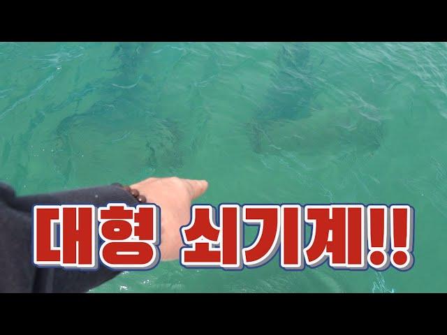 맛있는게 산더미처럼 잡히네!! 엄청난 힘으로 모래바닥을 끌어보자!!/ A huge amount of clams were caught at once.