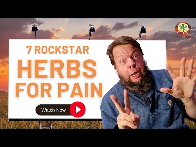 Top 7 Herbs Clinical Naturopath and Herbalist Uses For Pain