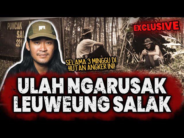 INI HORORNYA GAK MAIN - MAIN!! 21 HARI PENDAKI INI BISA SELAMAT DI HUTAN ANGKER GUNUNG SALAK