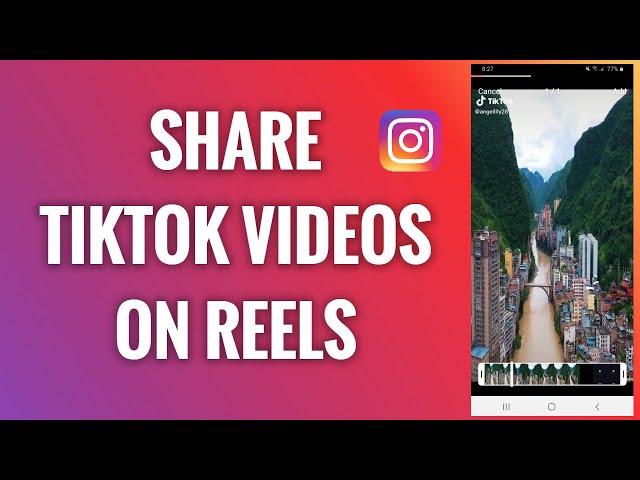 How To Share TikTok Videos On Instagram Reels