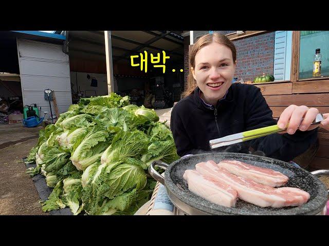 Harvesting over 200 cabbages for making kimchi and having meat on a stone plate as reward