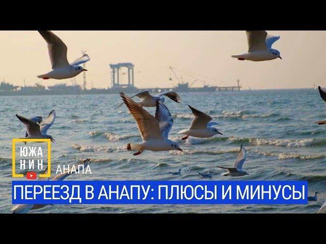 Переезд в Анапу: плюсы и минусы