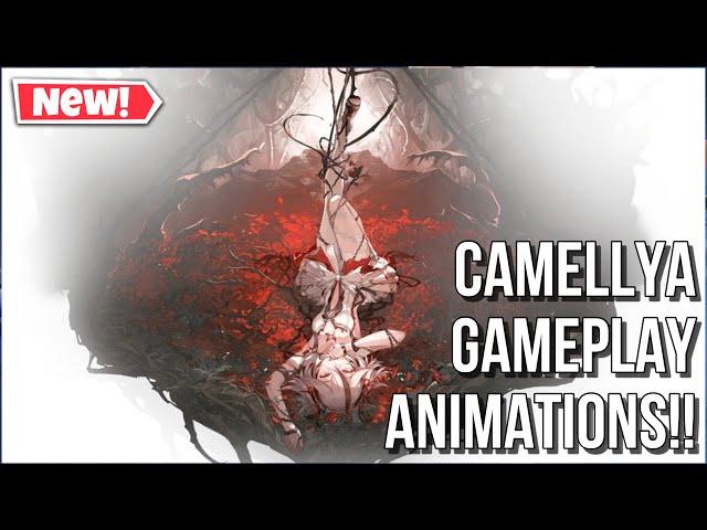 Camellya Leaked Gameplay Animations!!! Wuthering Waves 1.4