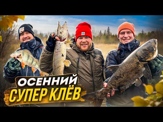 ОСЕННИЙ СУПЕР КЛЁВ. ОТЛОВИЛИСЬ ПО ПОЛНОЙ