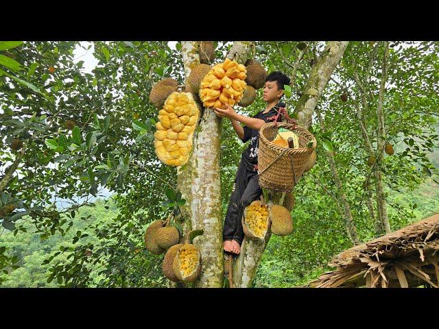 Full video: 100 days of making a living, Harvesting rice gardens, picking jackfruit, selling ducks