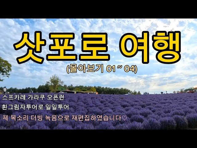 삿포로 혼자여행 다녀왔어요비에이투어 | 흰그림자투어 | 가라쿠 | 홋카이도여행(몰아보기01~04)