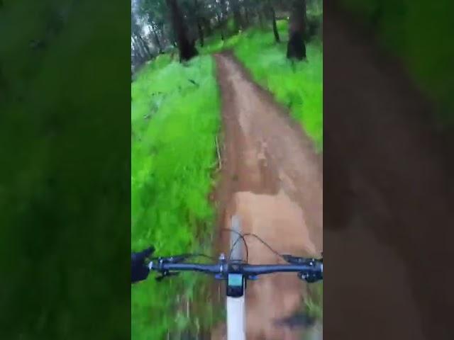 Darkside berms and jumps at Annadel