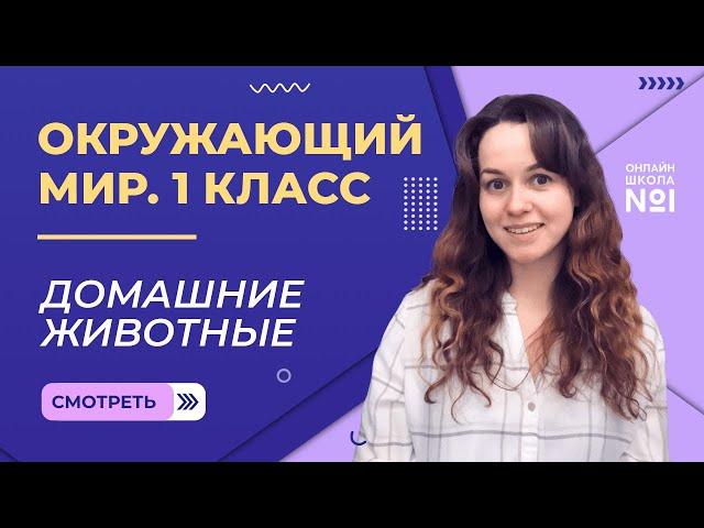 Видеоурок 22.2. Домашние животные. Окружающий мир 1 класс