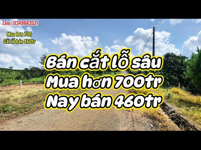 Cắt lỗ bán gấp, giá siêu rẻ, đất nền Lộc An#datbaoloc #muabandatgiare