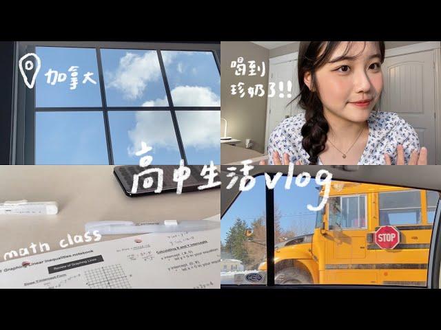 VLOG||加拿大高中生之零散的日常/喝到珍奶的一天！！［titibetty]