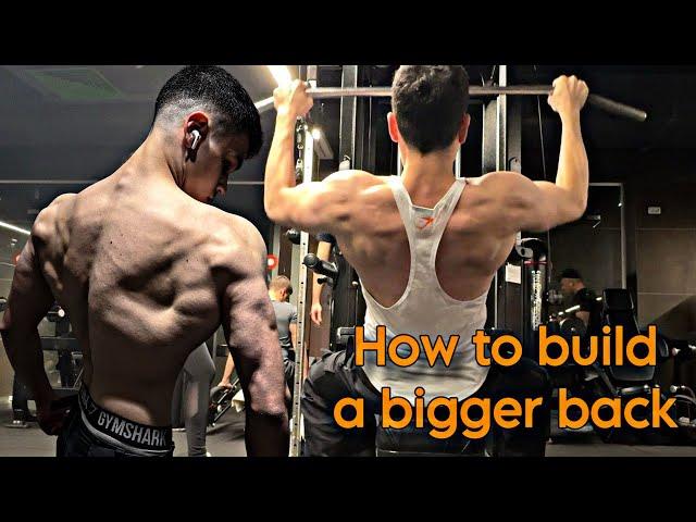 Upper Chest And Back Workout | How To Grow A Bigger Back | Full workout