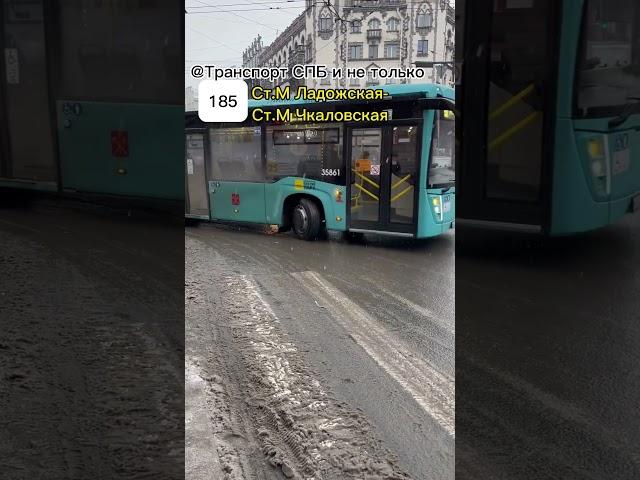 Автобус Volgabus-5270.G4 по 185 маршруту! #транспорт #автобус #2024 #спб @Transport_Petersburga