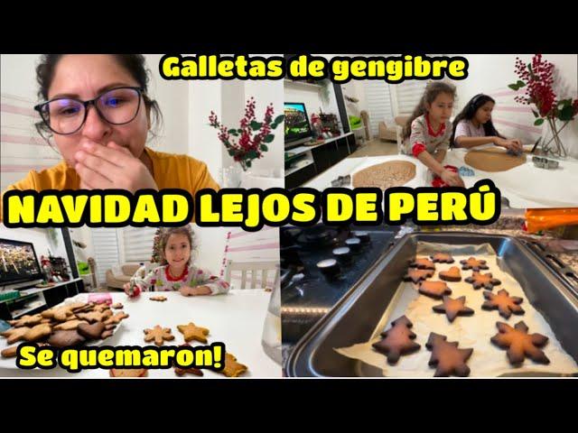 LO DURO DE LA NAVIDAD EN TURQUÍA  / GALLETITAS DE GENGIBRE 