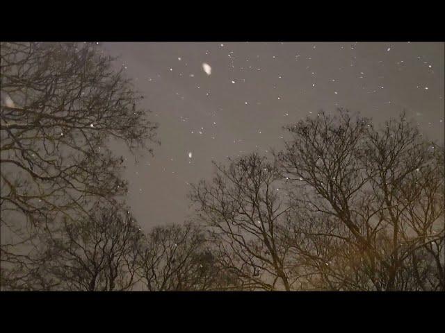 Снежинки падают,   и мы мечтаем  Наталья Зарубина  и  Елена Чичерина