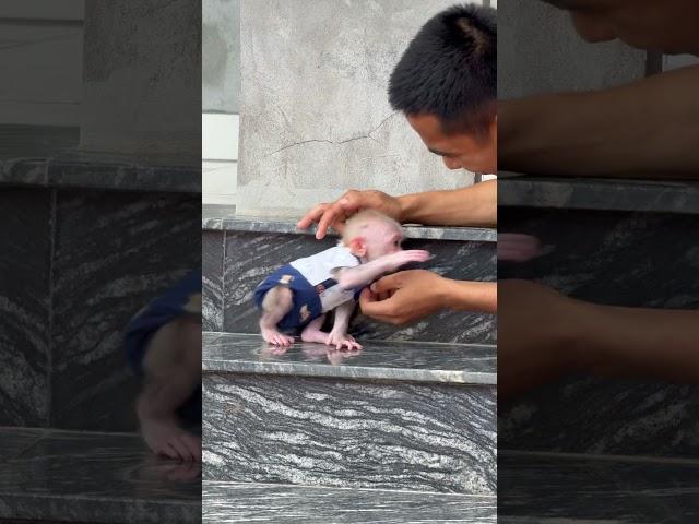 baby jerk