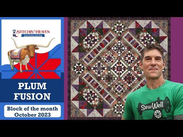 Block of the Month - Plum Fusion with Rob Appell - Starting October 2023