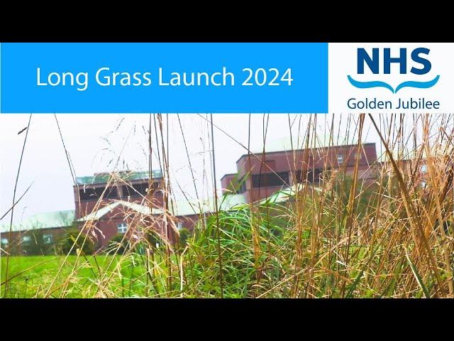 Long Grass Launch 2024