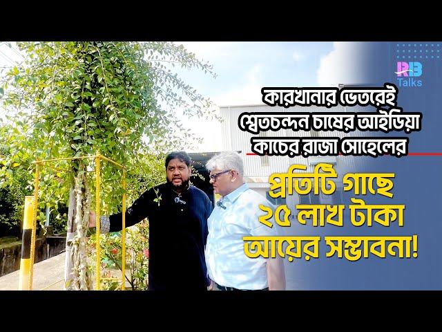 কারখানার ভেতরেই শ্বেতচন্দন গাছের চাষ; প্রতিটির দাম প্রায় ২৫ লক্ষ টাকা  | Sandalwood | Sohel | PHP