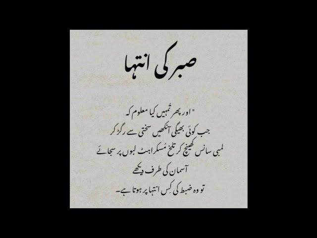 Amazing Collection Quotes In Urdu | Islamic Quotes In Urdu | Urdu Poetry Status | Image Collection