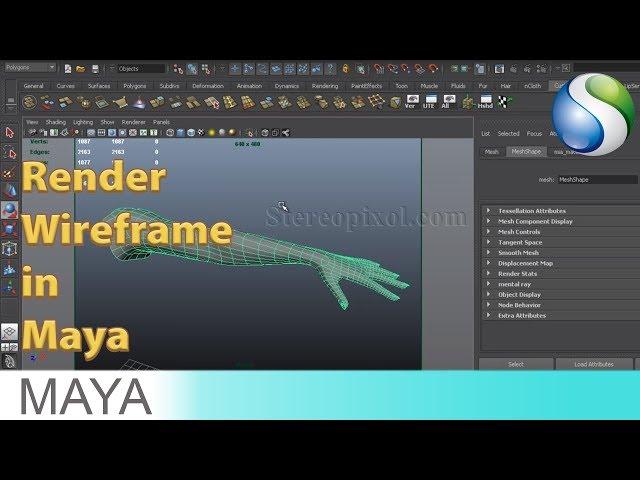 How to Render Wireframe in Maya Software Render