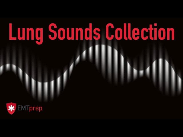 Lung Sounds Collection - EMTprep.com