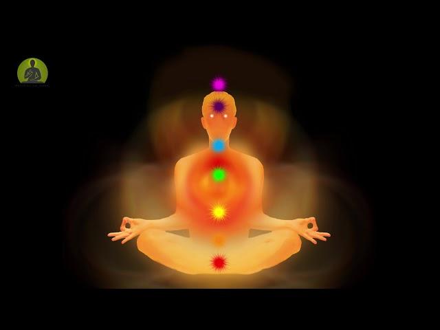 Divine Healing Music l Peaceful Meditation l Calm Your Mind & Body l Comfort Music