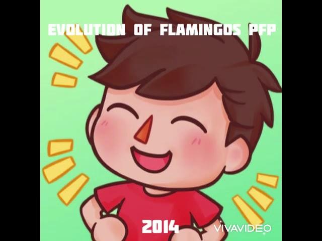 Evolution Of Flamingos PFP