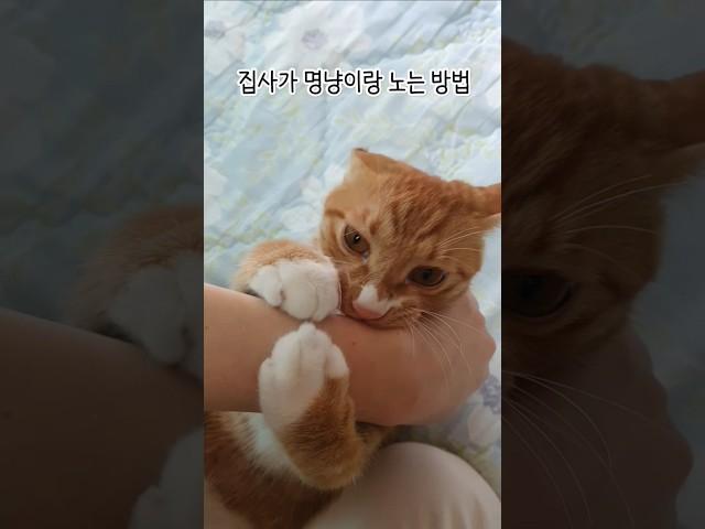 서열 1위는 나야 나 (집사) #shorts
