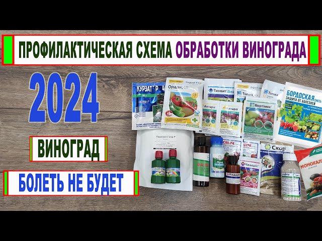  Схема ОБРАБОТКИ ВИНОГРАДА от БОЛЕЗНЕЙ и вредителей на 2024 год. Как СПАСТИ ВИНОГРАД? Фото болезней