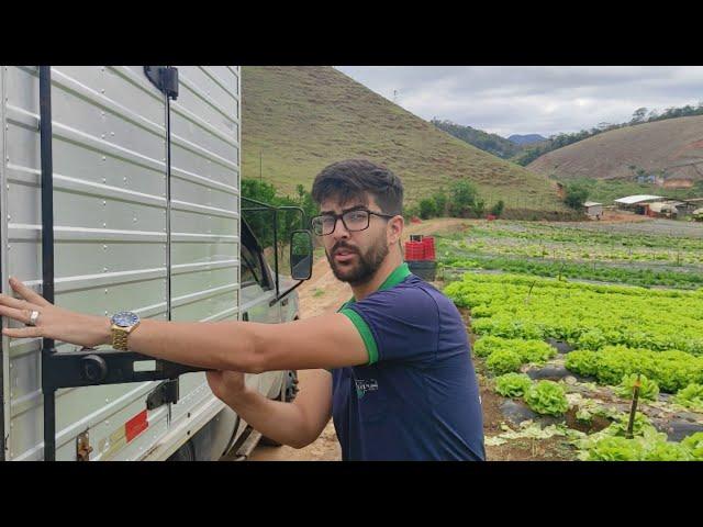 MOSTRANDO PRA VOCÊS COMO FAZEMOS A COLETA DE VERDURAS NOS SÍTIOS DOS  AGRICULTORES.