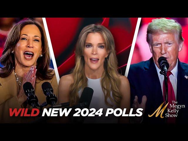 Megyn Kelly Breaks Down the Wild New 2024 Polls Shaking Up the Race With One Day To Go