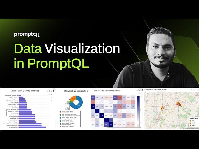 Preview of Data Visualization in PromptQL