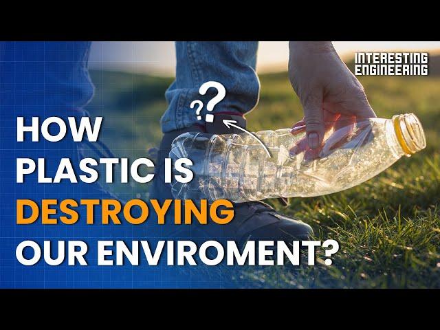 How plastic is destroying our environment and what to do about it