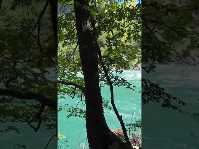 Fall in love with the Niagara River in 20 seconds or less..GO! ️#fyp #niagara #viralshort