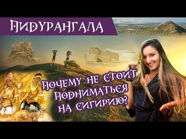 Сигирия или Пидурангала? Как сэкономить, но увидеть знаменитую скалу Сигирию?