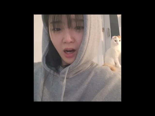 오마이걸 승희 신기방기 뿡뿡방기 들었을때 + 세븐틴 정한 만든걸로 알게 됐을 때 반응ㅋㅋ