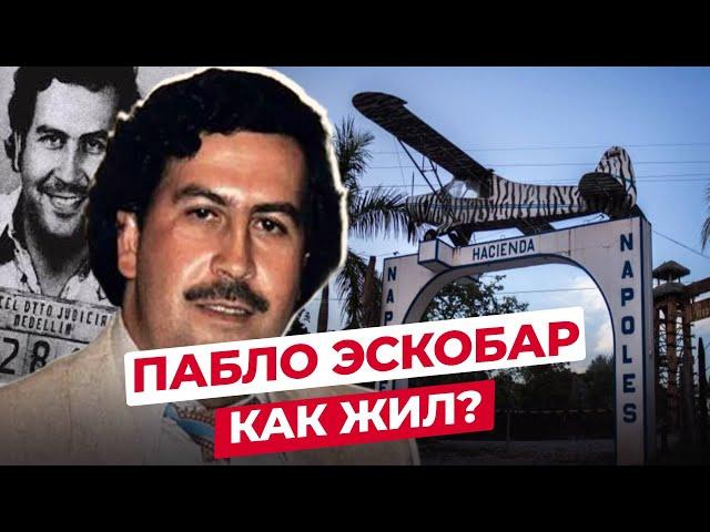 ПАБЛО ЭСКОБАР: ЧТО СТАЛО С ГЛАВОЙ МЕДЕЛЬИНСКОГО КАРТЕЛЯ