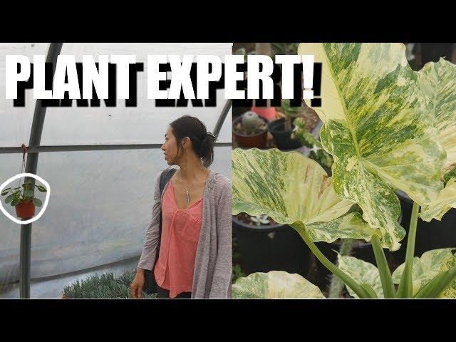 Best Plant Nursery in Southern California. Long Beach, CA VLOG