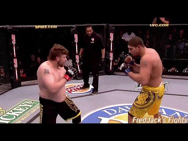 Roy Nelson vs Brendan Schaub Highlights (Nelson KNOCKS OUT Schaub) #ufc