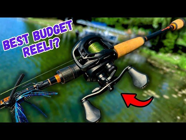 BEST BUDGET BAITCASTING REELS: On The Water Review!