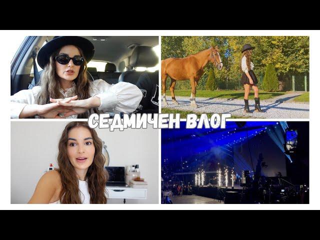 СЕДМИЧЕН ВЛОГ | КОНЦЕРТ НА ЦЕЦА, СПАСИХМЕ УЛИЧНО КОТЕ, ФОТОСЕСИЯ С КОНЧЕ