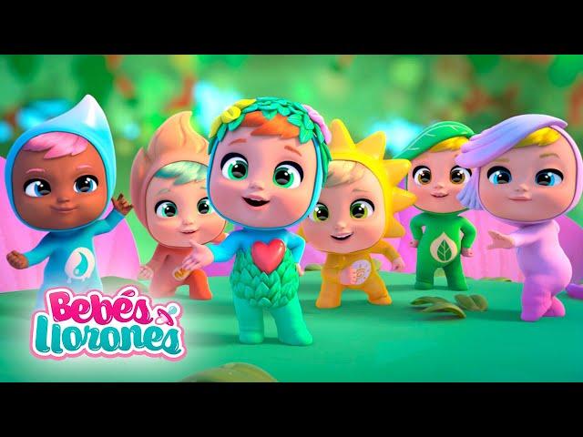 ¿MISIÓN CUMPLIDA?  LITTLE CHANGERS ️ Serie ECO ️ BEBÉS LLORONES  LÁGRIMAS MÁGICAS  en ESPAÑOL