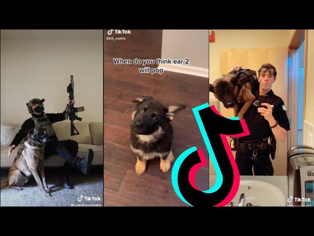 Amazing k9 Police Dogs TikTok Compilation #1 | Dogs Of TikTok