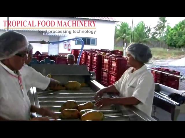 TFM - Multifruit Line: papaya processing 3 tons/h