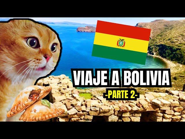 VIAJE A BOLIVIA , parte 2 (meme de gatos)