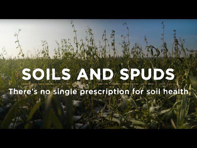 Soils and Spuds: There's no single prescription for soil health