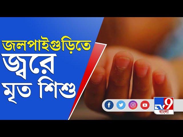 জলপাইগুড়িতে মাত্র কয়েক ঘণ্টায় মৃত শিশু, কী বলছেন চিকিৎসকরা? | Jalpaiguri | Japanese Encephalitis