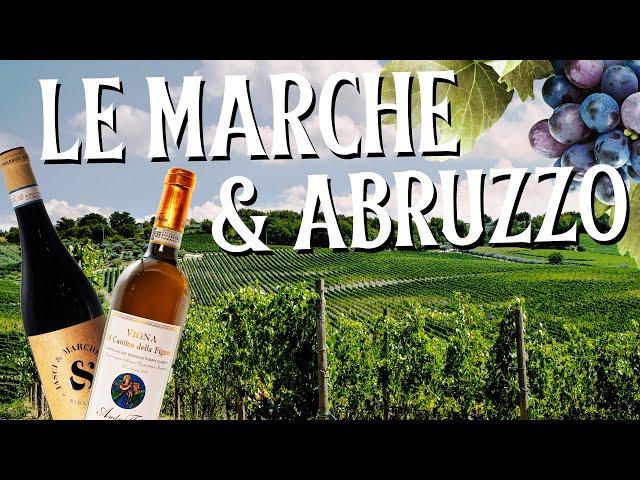 Exploring Italian Wine Regions - Le Marche & Abruzzo