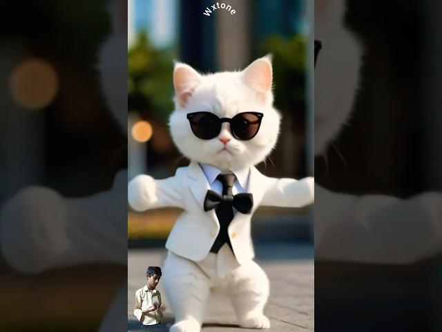 cat comedian dance 🪩🩰1000 million video #yellowcat #funny #catvideos #cat#kucing #shortvideo